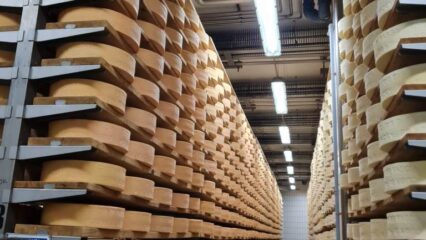 WhatsApp Image 2024-03-06 at 18.54.42